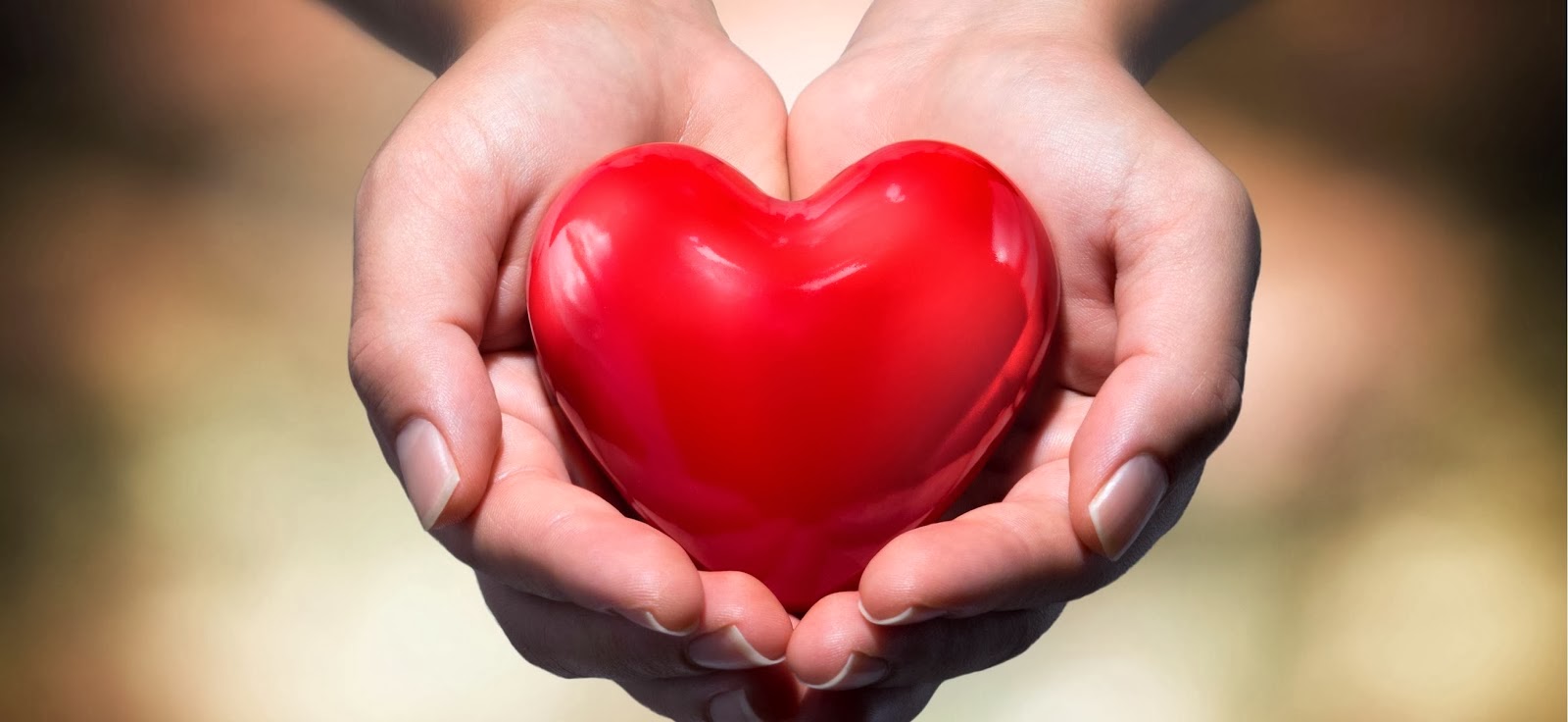 Hãy cho đi bằng cả trái tim